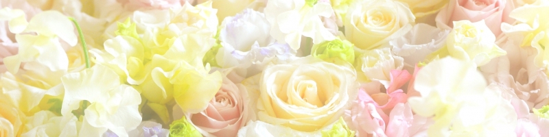 �G�x���g���T�C�g